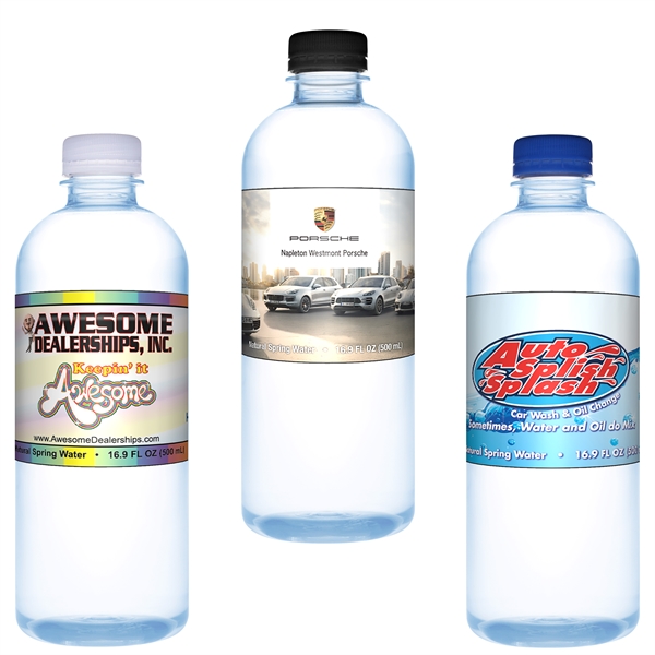 16.9 oz Branded Water Bottle