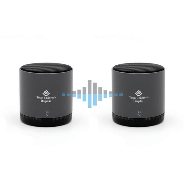 Custom Wireless Speakers